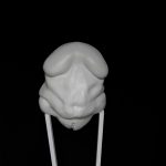 Torso I