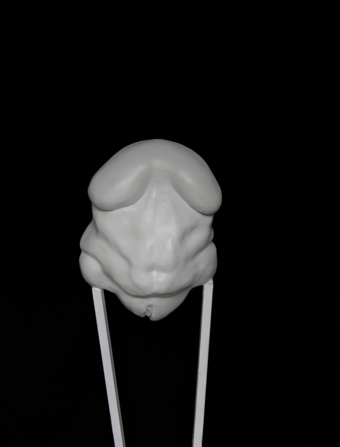 Torso I