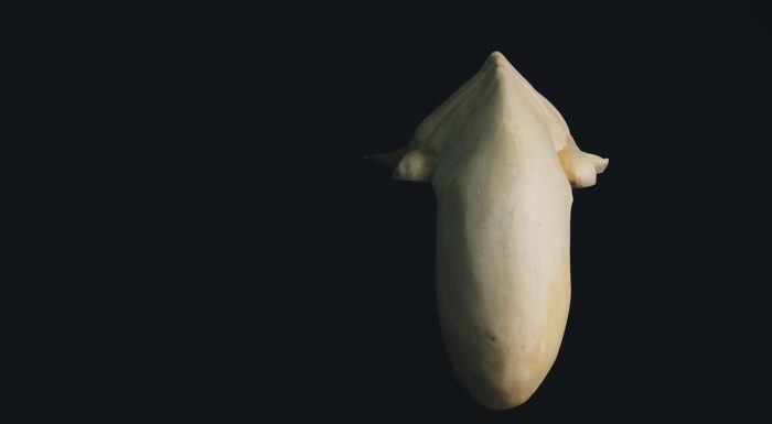 Alçalma